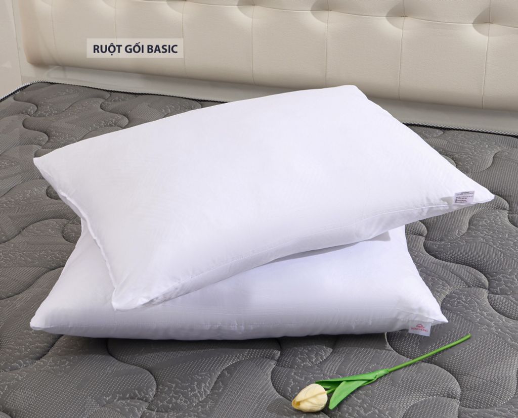 Ruột gối nằm Basic